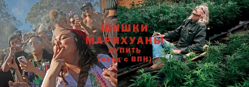 Бошки марихуана THC 21%  Благовещенск 